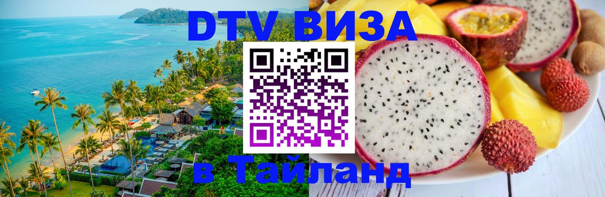 Сколько стоит DTV виза — актуальные цены, оформление даже без документов - Арзамас 